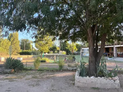 a tree in front of a park with a playground at Cardozo House Monoambiente acogedor y familiar in Villa Dolores