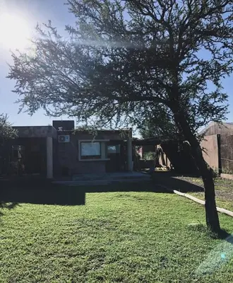 a tree in a yard next to a house at Casa en Santa Rosa de Calamuchita in Santa Rosa de Calamuchita