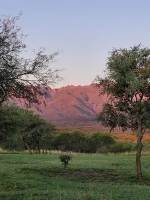 a mountain in the distance with a field and trees at La Comarca in San Javier