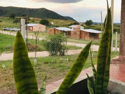 a group of green plants in front of a village at Complejo de Cabañas Valentino in Embalse