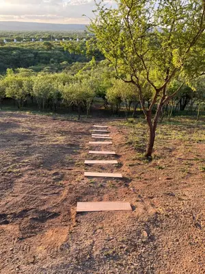 a stepping stone pathway in a field with a tree at Sol Suites in Villa Cura Brochero