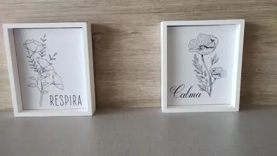 two drawings of flowers in frames on a wall at Veneto Village, Complejo Vacacional in Villa Parque Siquiman