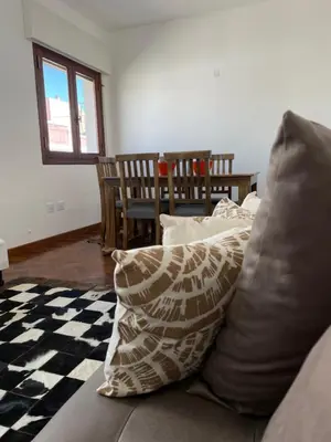 a living room with a couch with pillows on it at Departamento céntrico y espacioso en Río Cuarto. in Río Cuarto
