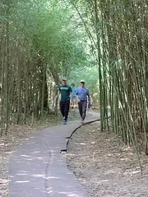 three people walking down a path through a bamboo forest at Cabaña en Villa Amancay in Villa Amancay