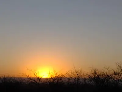 a sunset over a field with trees in the foreground at Cabaña en Villa Amancay in Villa Amancay