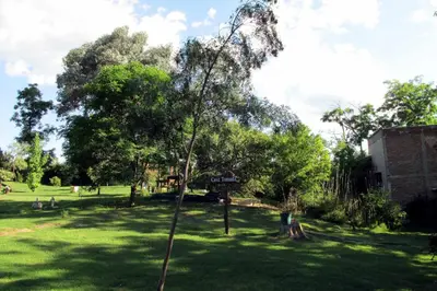 a tree in the middle of a park at LUNA CAUTIVA in Santa Rosa de Calamuchita