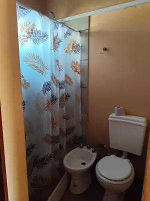 a bathroom with a toilet and a shower curtain at Cabañas LAS REARTENSES in Los Reartes