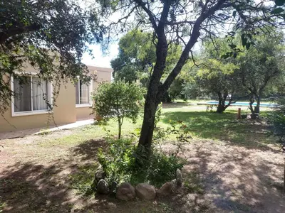 a tree in a yard next to a building at Cabañas Matilda in Los Molles
