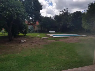 a dog laying in the grass next to a swimming pool at Cabañas Matilda in Los Molles