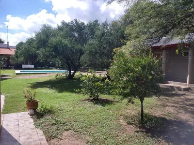 a yard with two trees and a swimming pool at Cabañas Matilda in Los Molles